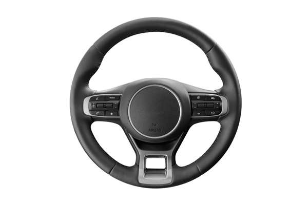 Auto Sostitutiva